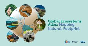 cop16-global-ecosystems-atlas-unveiled-to-transform-ecosystems-stewardship.jpg