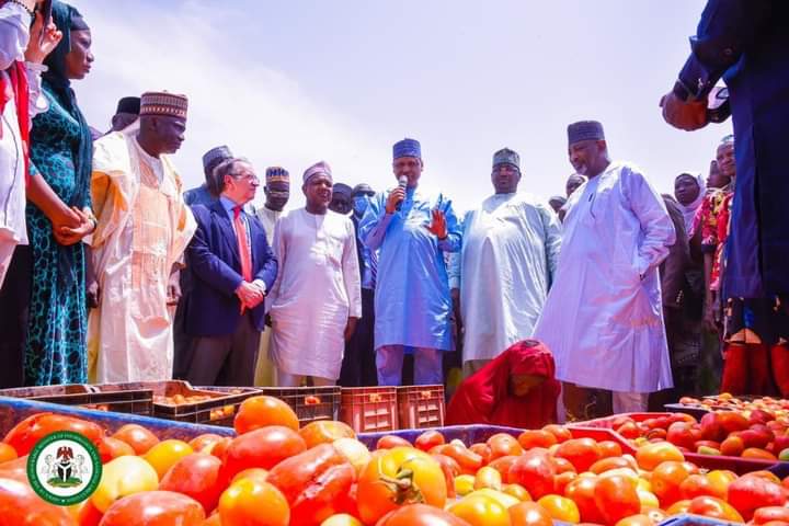 new-tomato-processing-factory-commissioned-in-kebbi-state.jpg