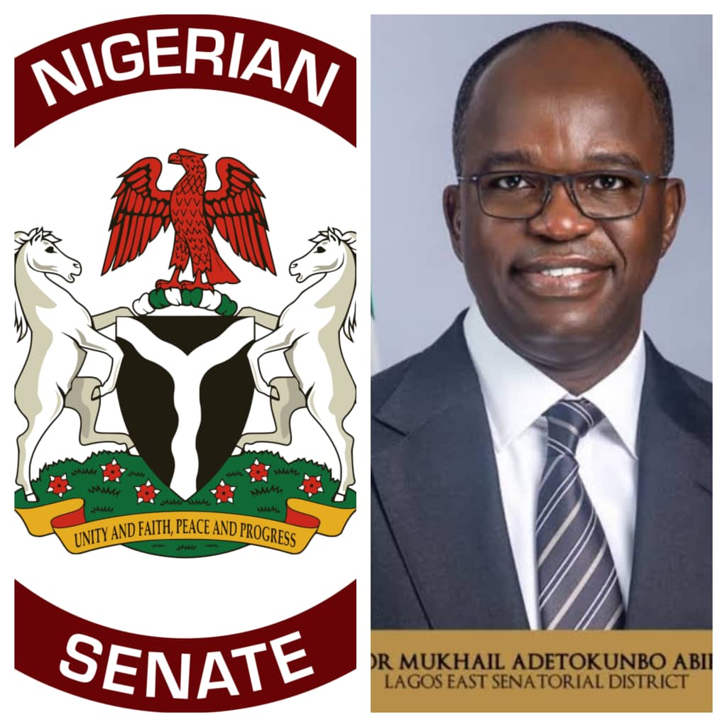 senate-passes-nigeria-insurance-industry-reform-bill-2024-for-second-reading.jpg