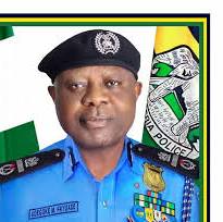 the-task-of-securing-nigeria-shouldnt-be-left-for-police-to-do-alone-aig-fayoade-says.jpg