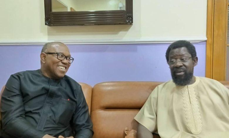 after-meeting-obansnjo-peter-obi-visits-dele-farotimi.jpg