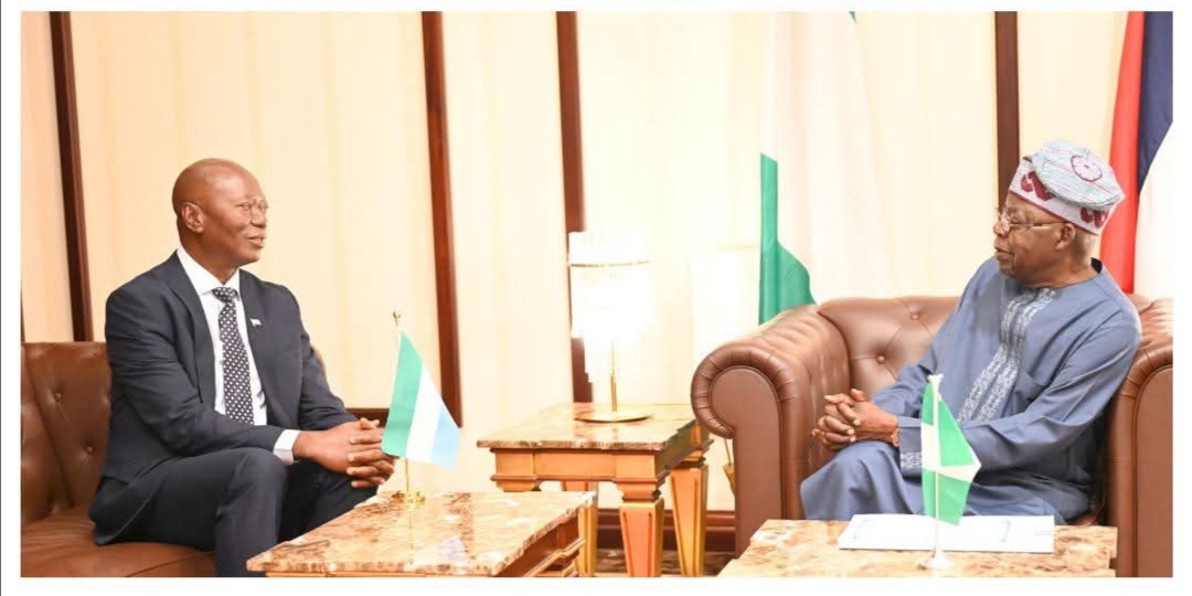 president-tinubu-lauds-accomplishments-of-diasporan-nigerians.jpg