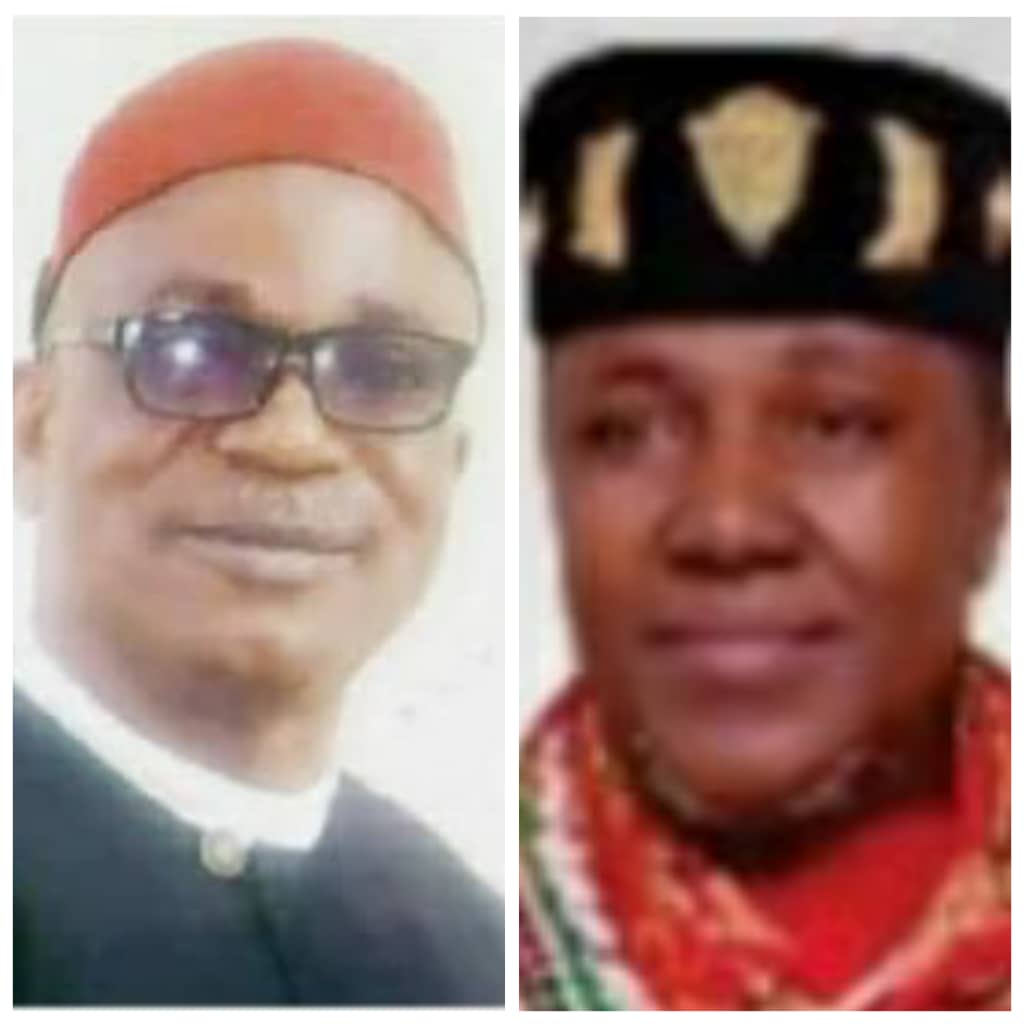 igbo-speaking-community-nullifies-southeast-traditional-rulers-decision-on-ezendigbo-title-in-diaspora.jpg